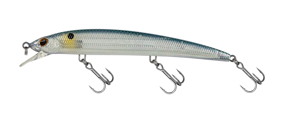 Molix Finder Jerk EVO 125 F